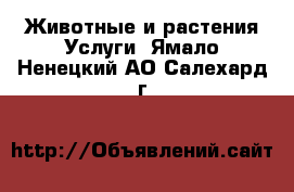 Животные и растения Услуги. Ямало-Ненецкий АО,Салехард г.